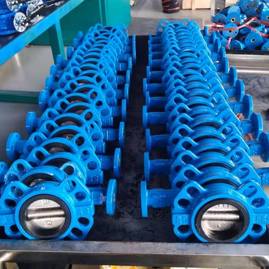 Factory OEM Industrial DN50 Pn16 Di Manual Stainless Steel Wafer Butterfly Valve