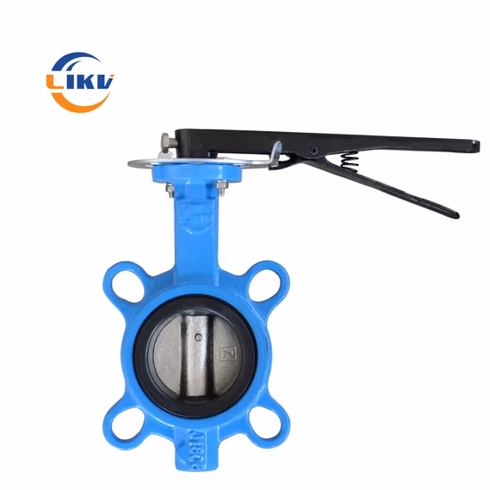 Factory OEM Industrial DN50 Pn16 Di Manual Stainless Steel Wafer Butterfly Valve